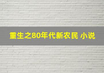 重生之80年代新农民 小说